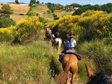 Italy-Abruzzo/Molise-Secrets of the Guardiaregia Campochiaro Reserve